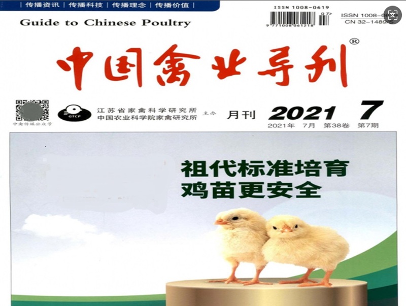 800-600中国禽业导刊